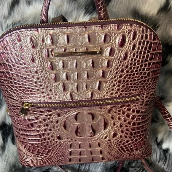 COPY - Brahmin backpack used once display picture 2